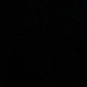 Meet your Posher, Trevor